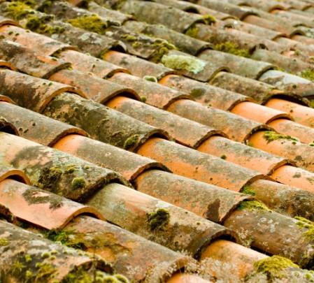 Nettoyage de toiture terrasse façade saône-et-loire